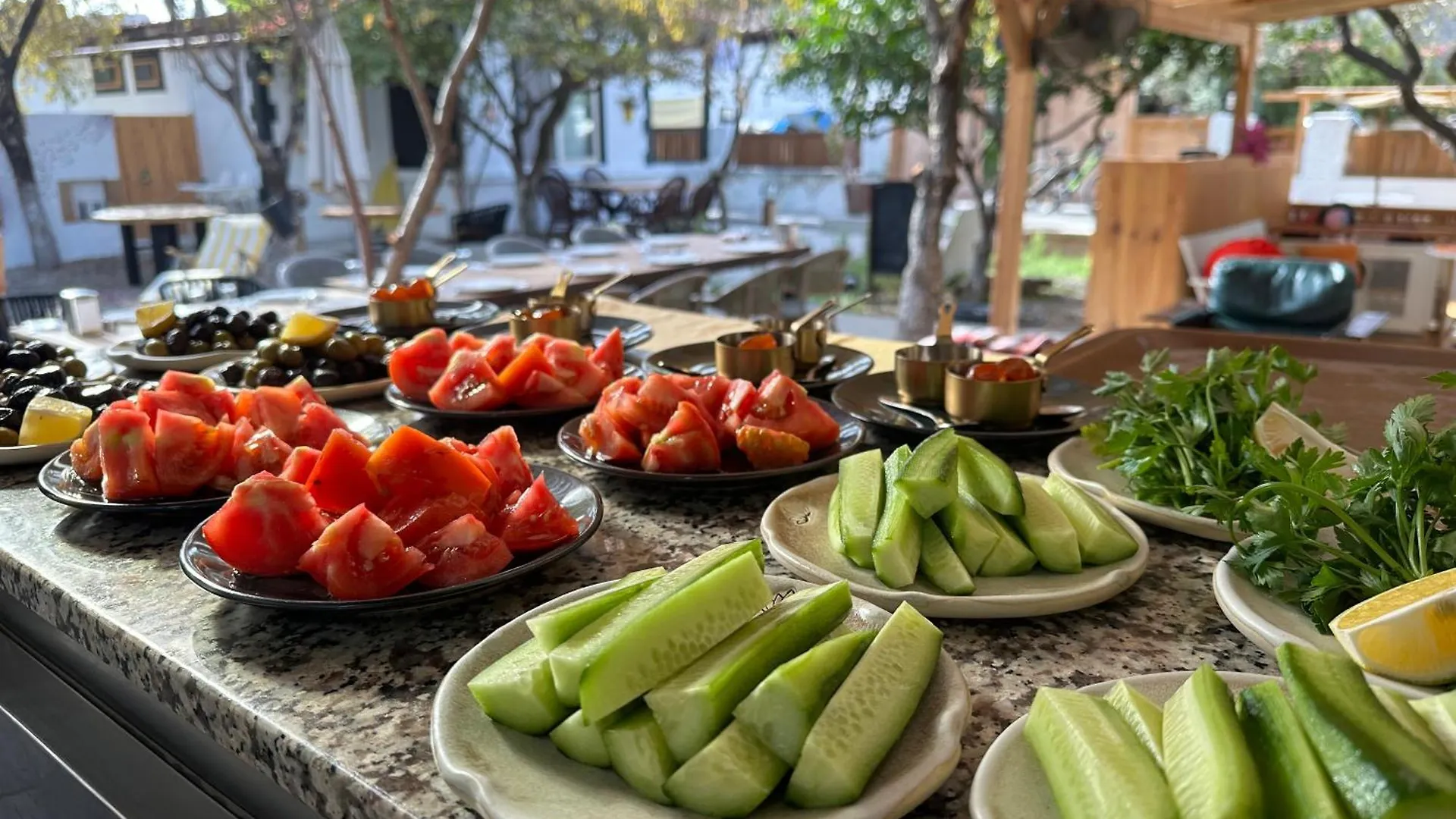 Mavi Lotus Pansiyon Datca Turkey