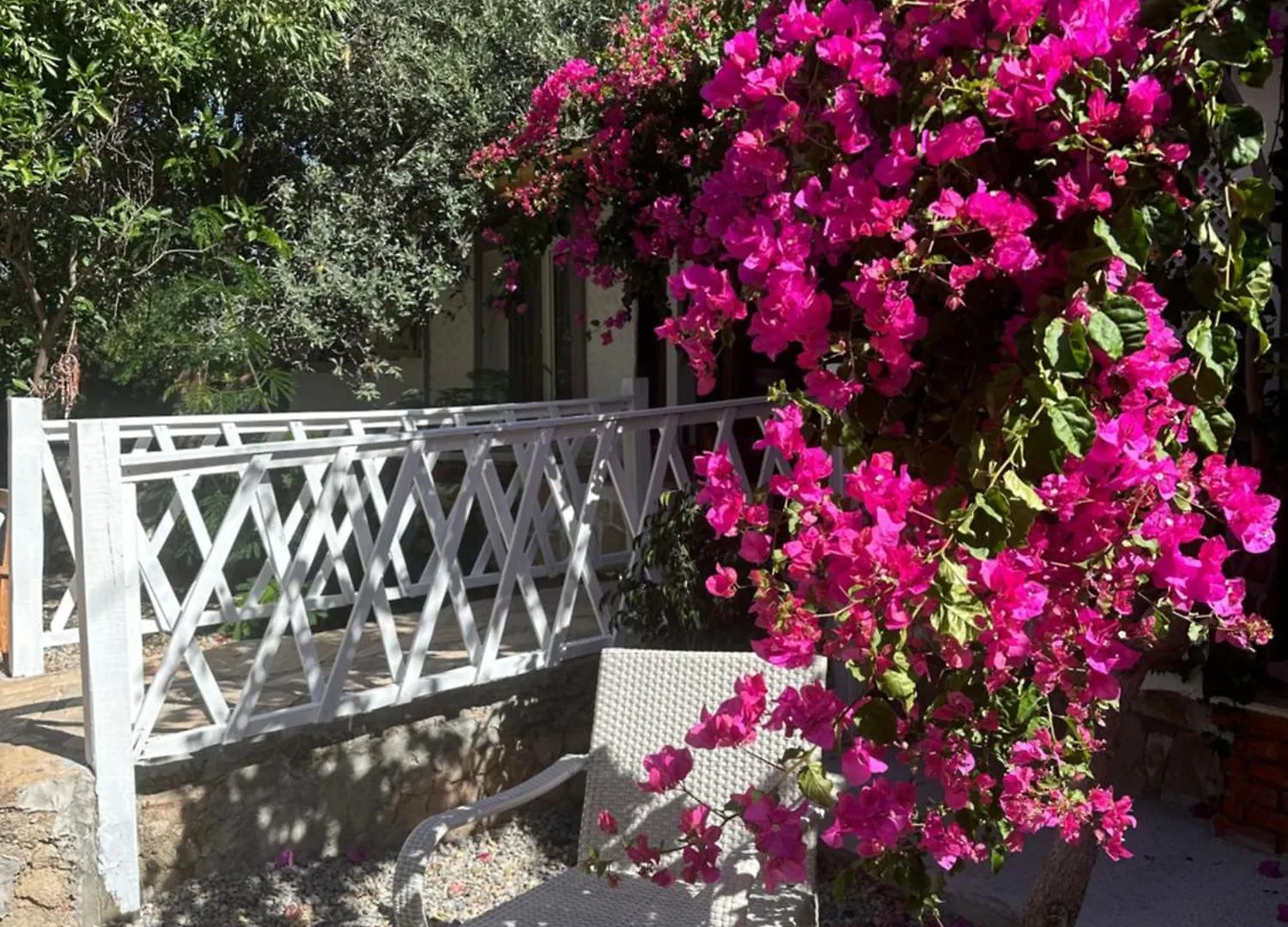 Bed & Breakfast Mavi Lotus Pansiyon Datca